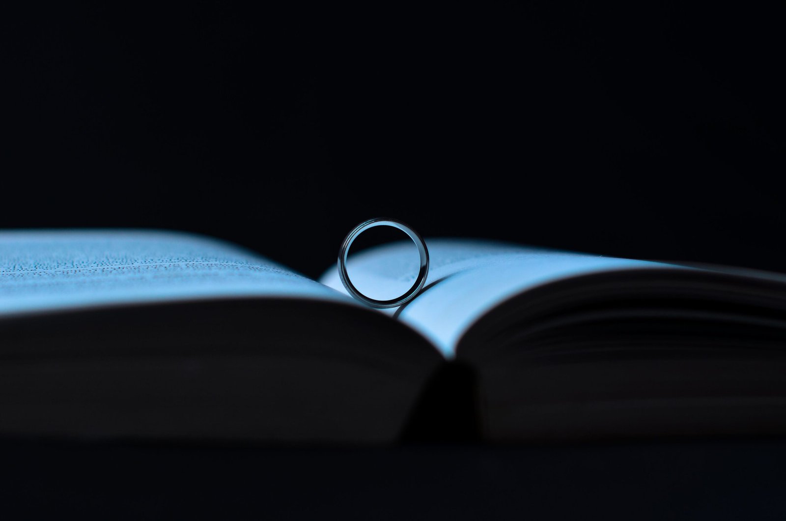 marginalian