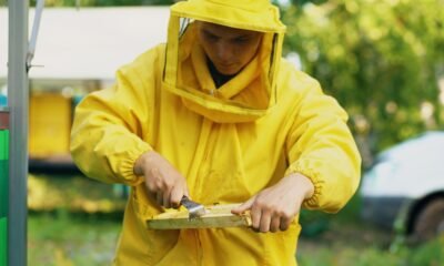 honeyimpact