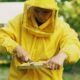 honeyimpact
