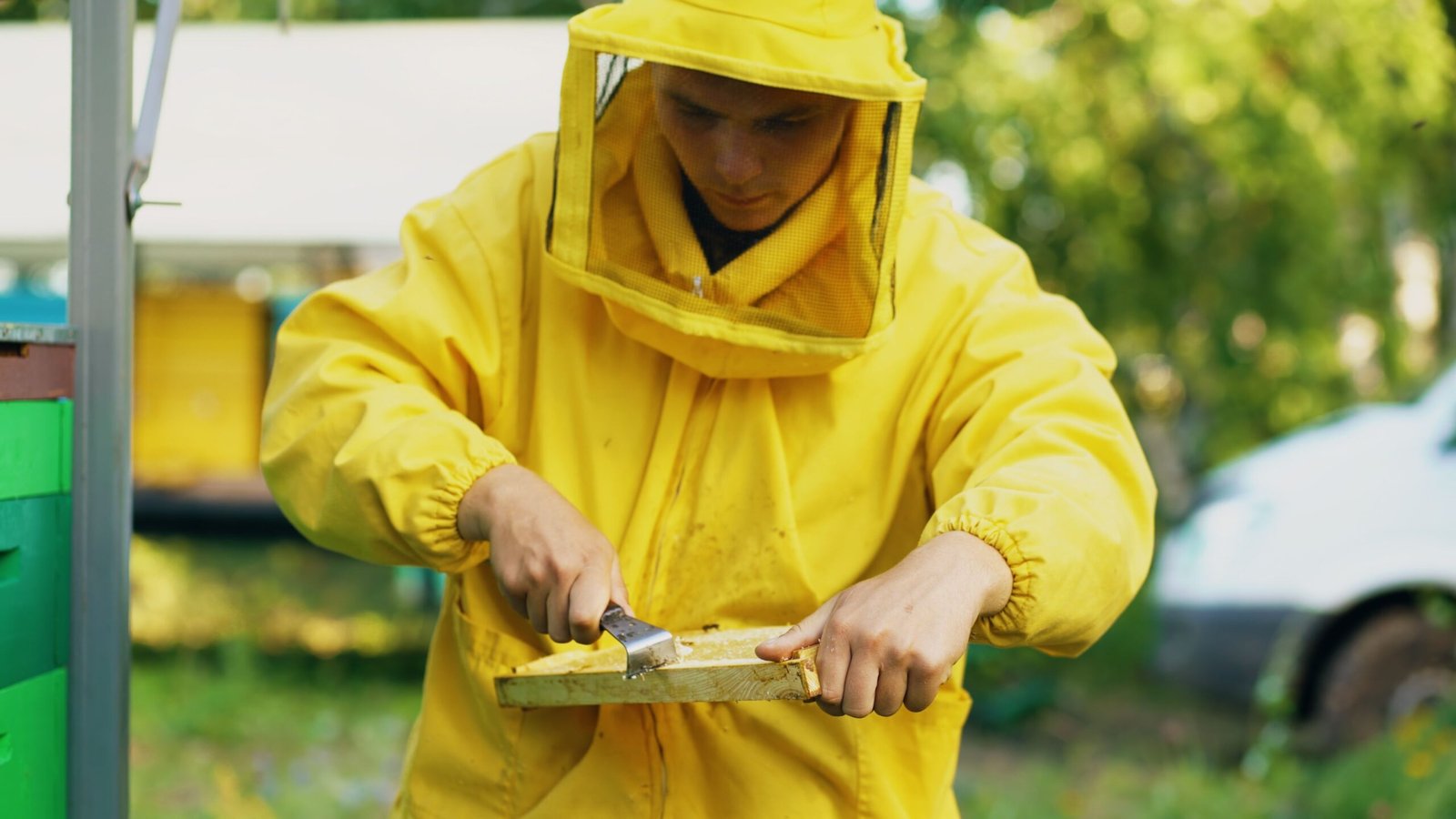 honeyimpact